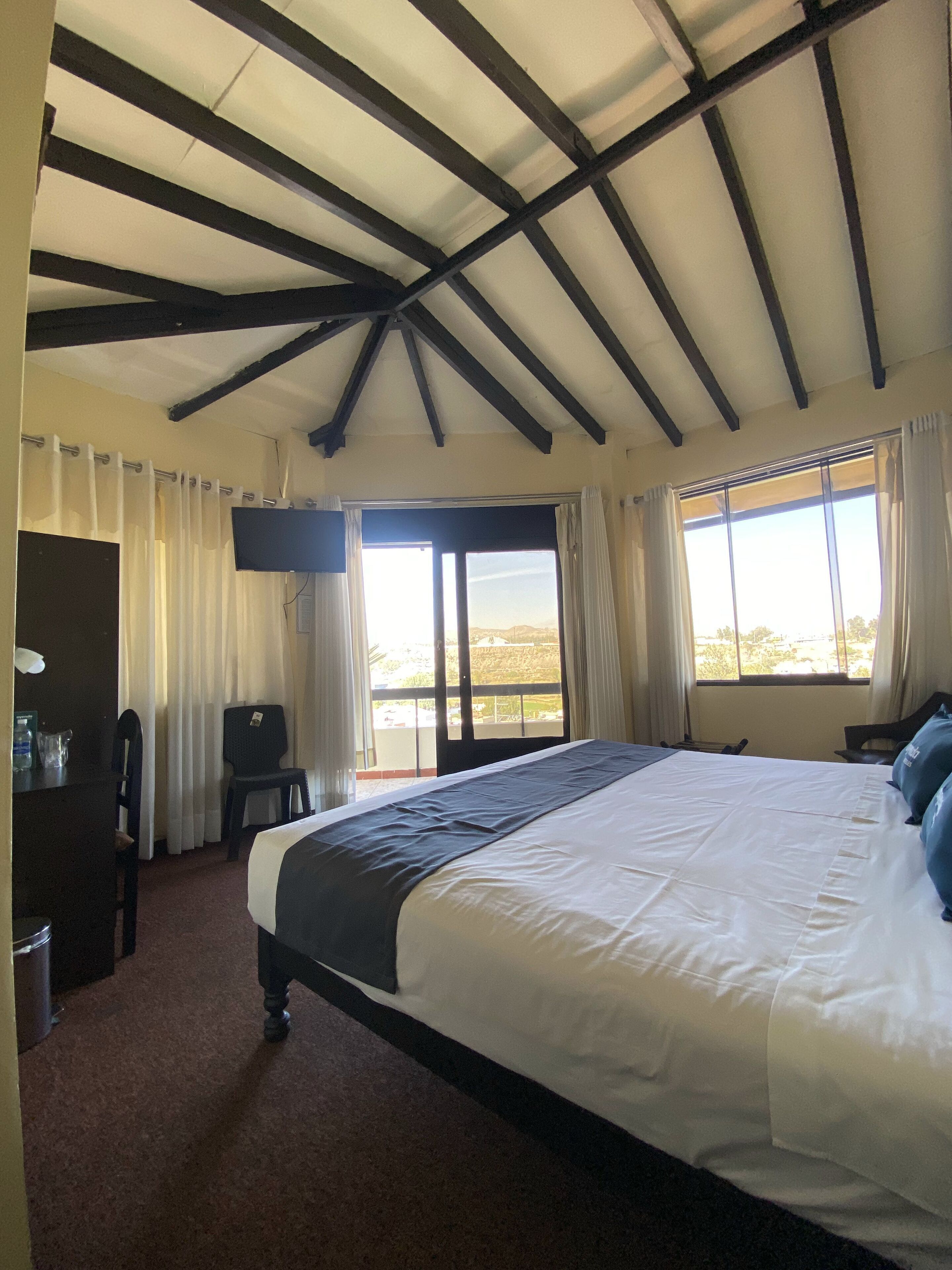 客房内保险箱、办公桌、熨斗/熨板、免费 WiFi