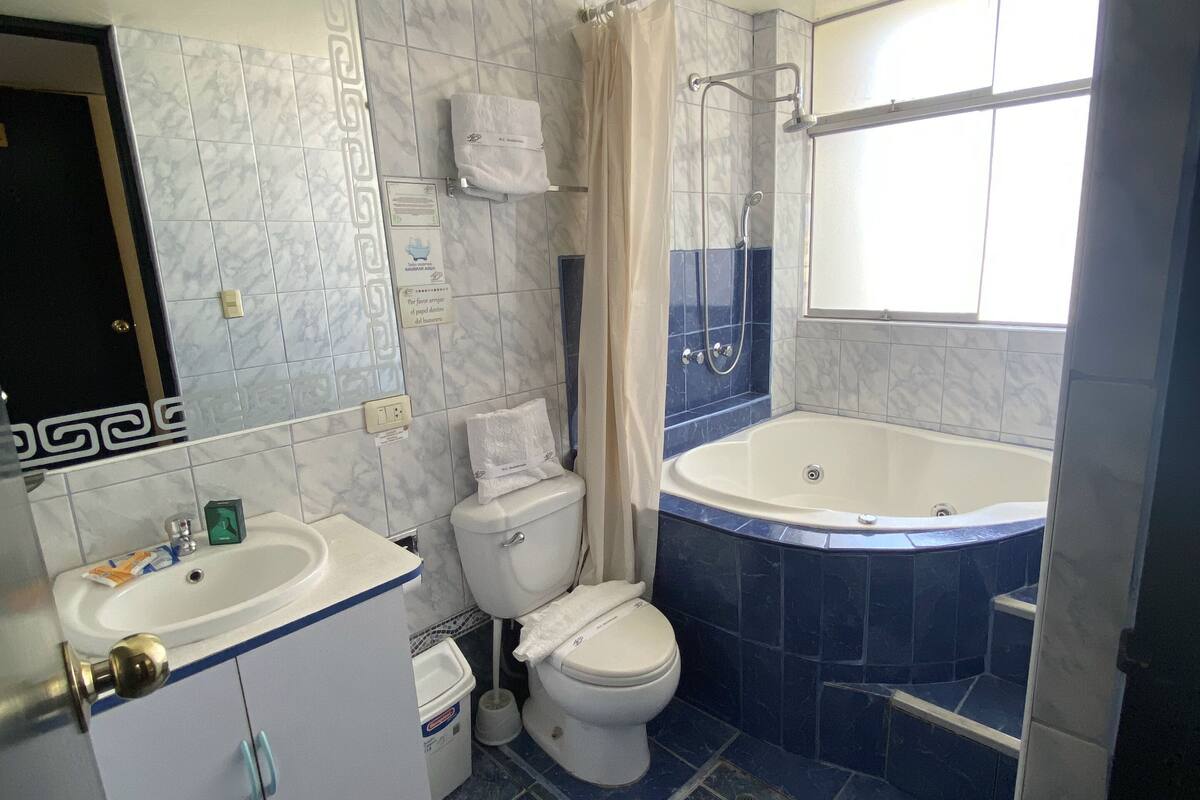 hair dryer, towels, soap, shampoo