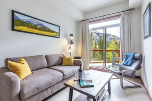 Smart TV, fireplace, books, offices