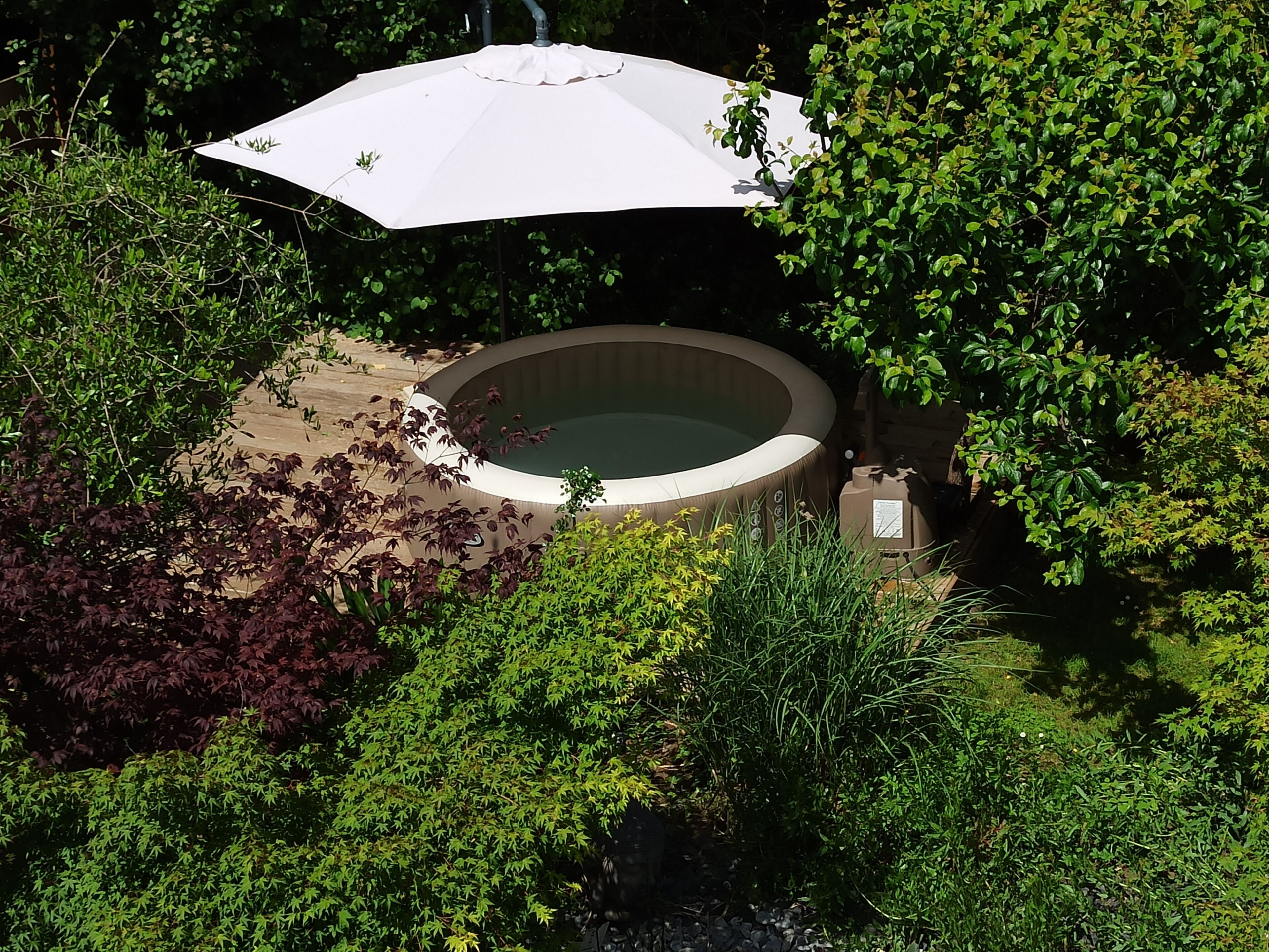 A hot tub surrounded by lush greenery, with a white umbrella providing shade.