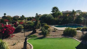 A residential area with a swimming pool, green lawn, and various plants.