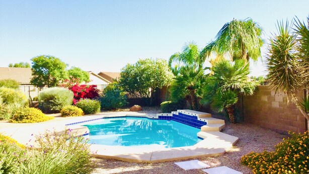 A swimming pool with a tiled edge, surrounded by various plants and a stone wall.