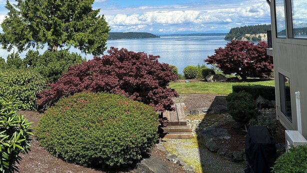 A view of a lake with mountains in the distance, a large tree, and a building with a glass facade. - Gig Harbor- Secluded Apartment with Million Dollar View.  10-minute walk to town (Gig Harbor)