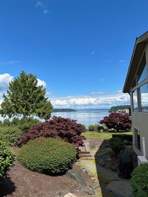 A view of a lake with mountains in the distance, a large tree, and a building with a glass facade.