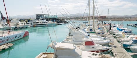 Marina