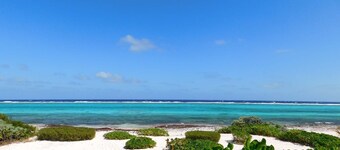 Champagne Sunrise - Beachfront, Sunsets,Snorkel,Swim,Pool, walk to RumPoint