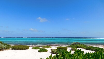 Champagne Sunrise - Beachfront, Sunsets,Snorkel,Swim,Pool, walk to RumPoint