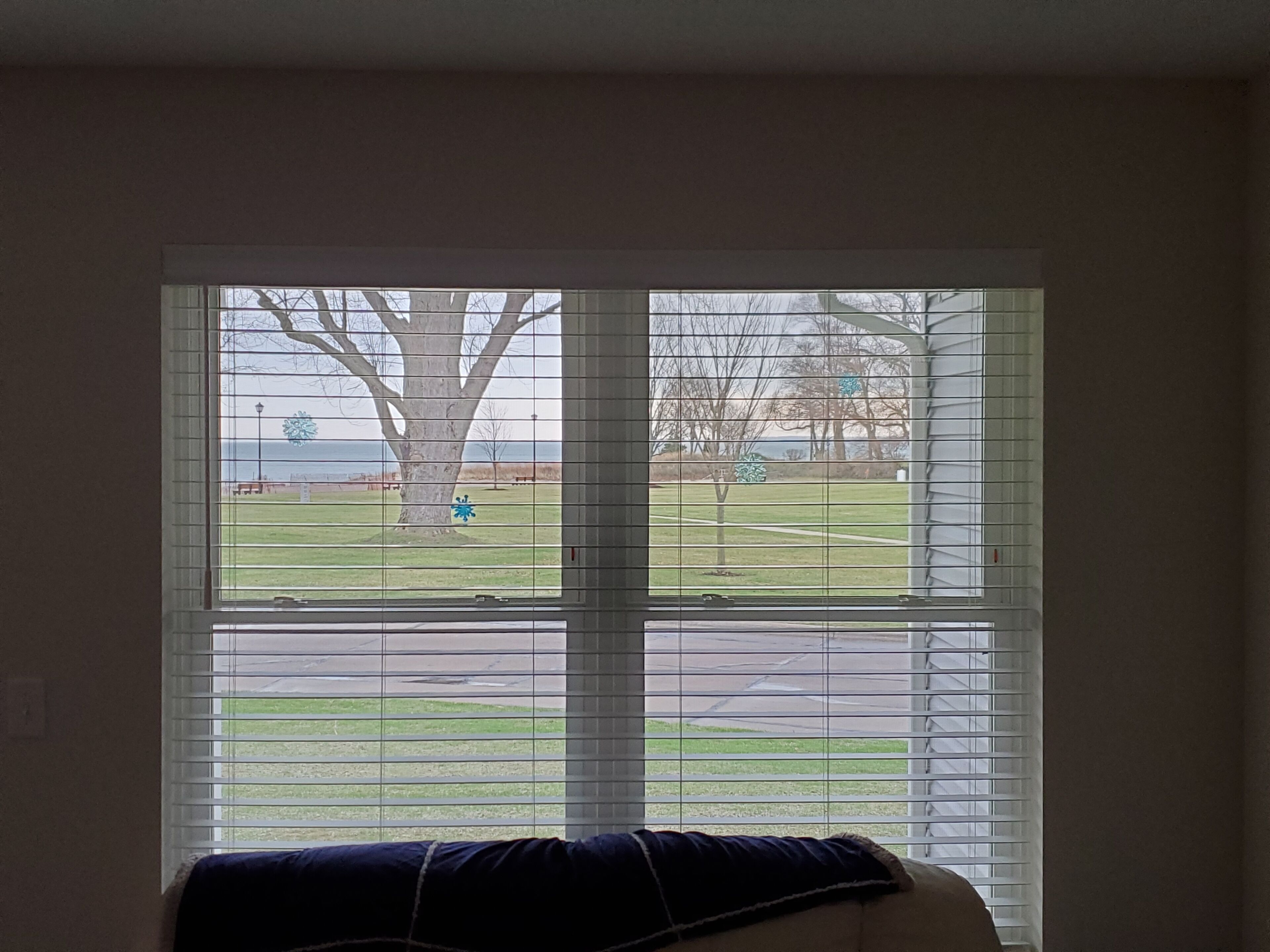 A room with a large window, a bed, and a view of a park and a body of water.
