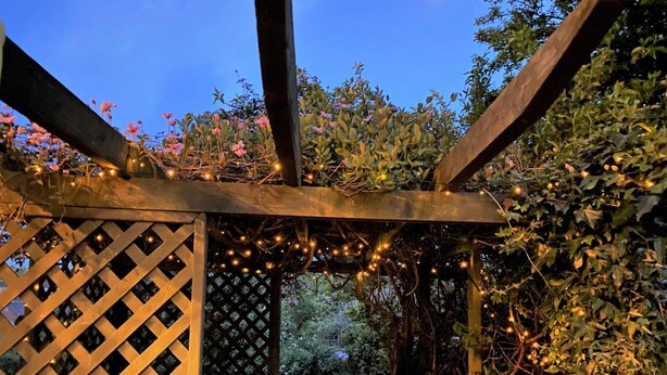A wooden pergola with climbing plants and string lights. - Glasgow Emo (Glasgow)