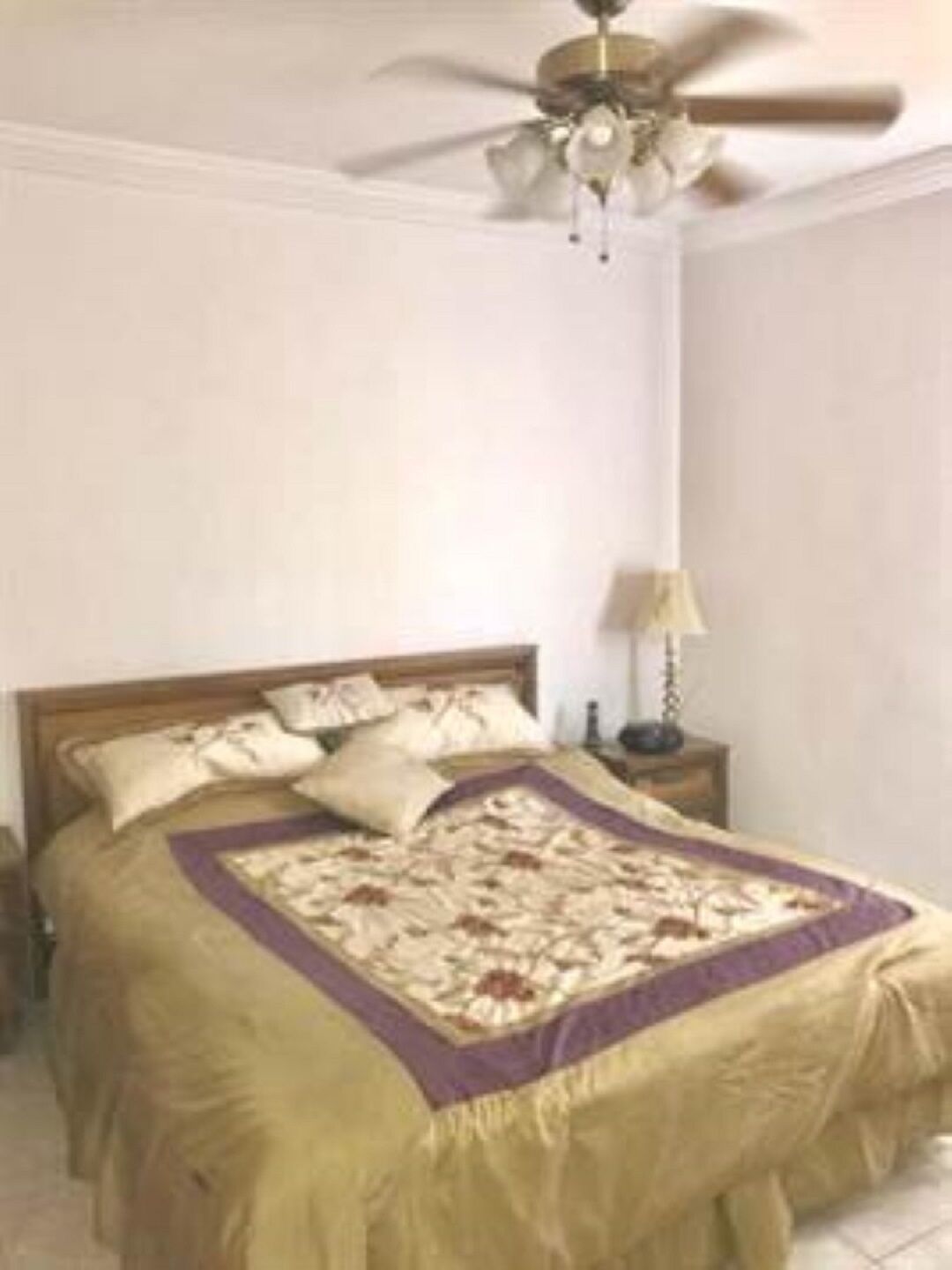 Magnificent apartment beach front 