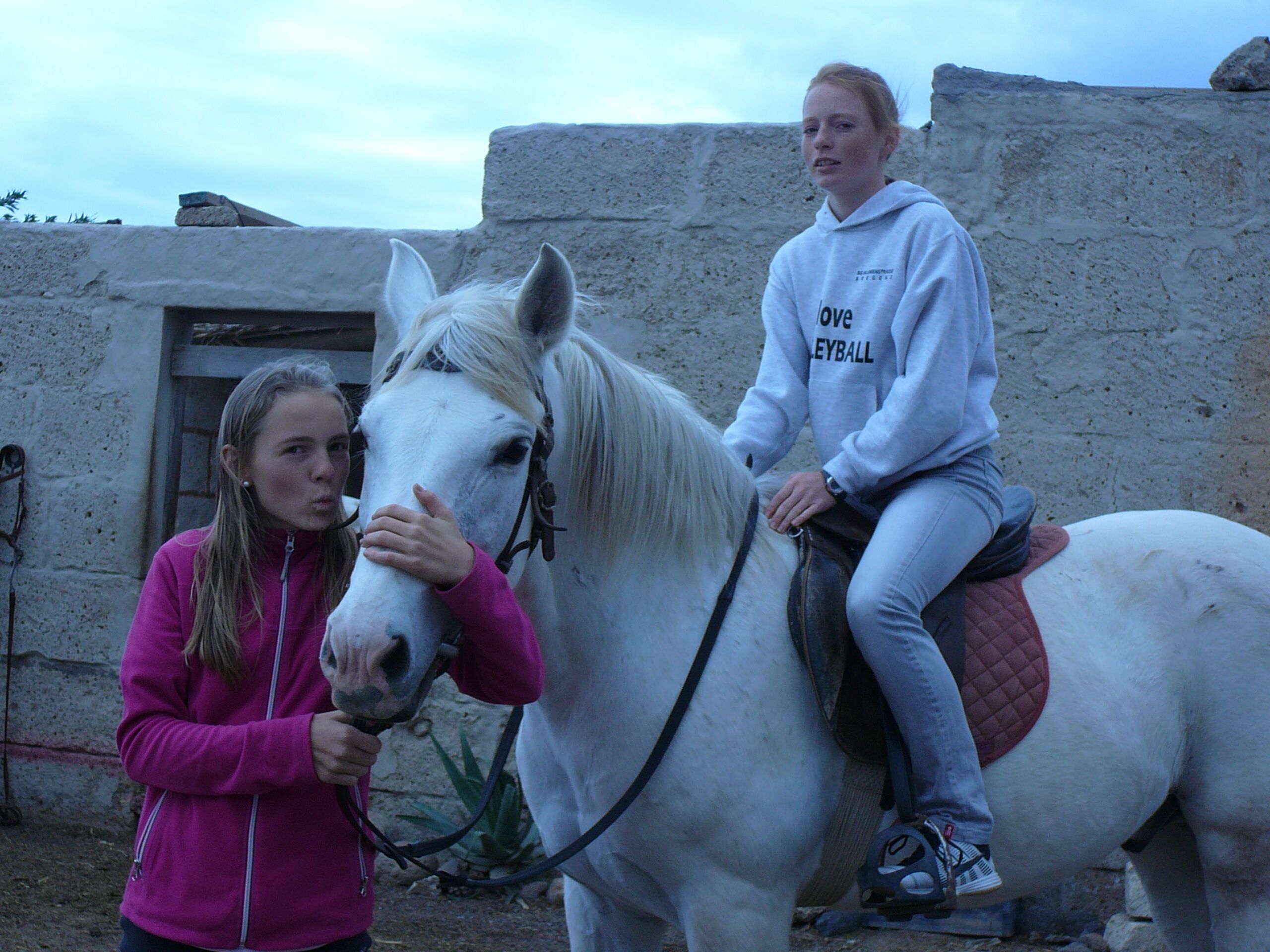 Two people interacting with a white horse in an outdoor setting with a stone wall in the background.