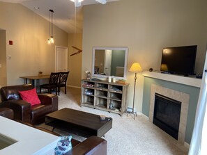 Smart TV, fireplace, books