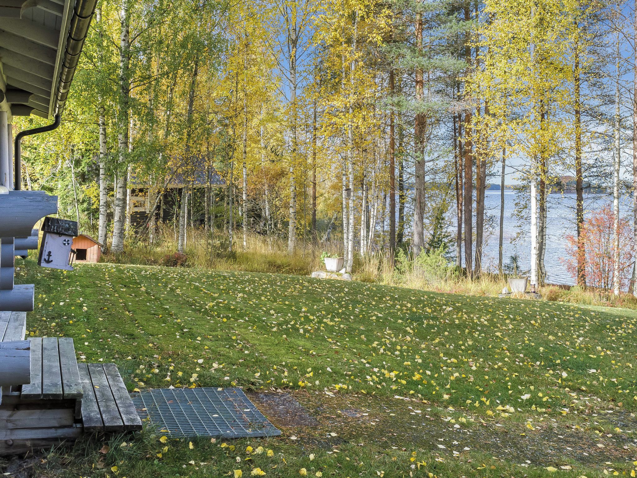 Eine begrünte Grünfläche mit einer Holzterrasse und einem Metallgitter, umgeben von Bäumen und einem Gewässer.