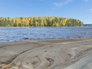 Ein Strand mit einem Wald im Hintergrund.