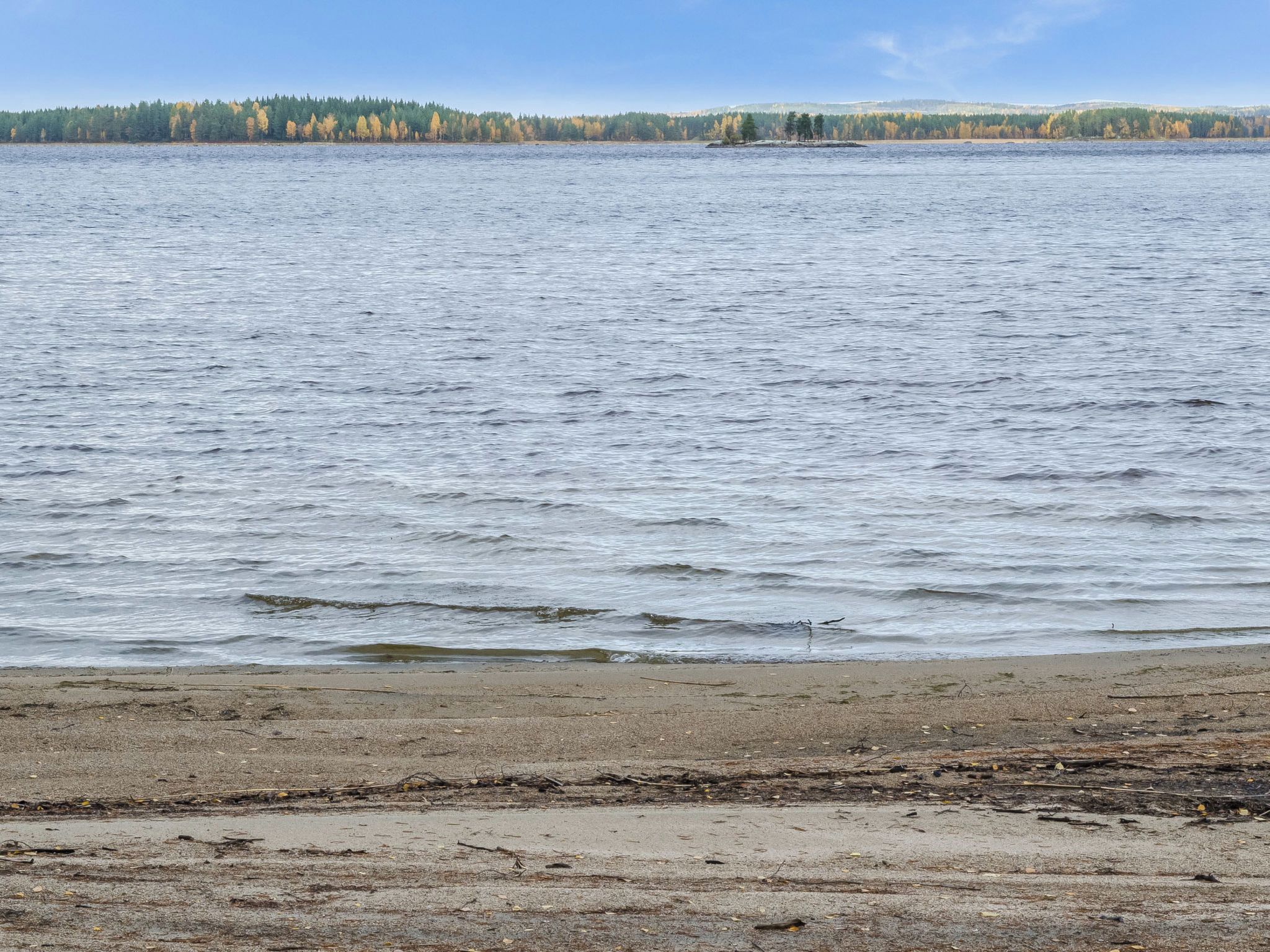 A beach with a calm sea and a forest in the background.