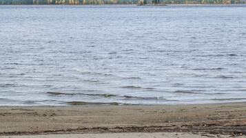 A beach with a calm sea and a forest in the background.