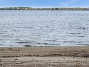 A beach with a calm sea and a forest in the background. - Markenniemi by Interhome (Joensuu)