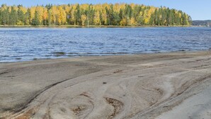 Une plage avec une forêt en arrière-plan.
