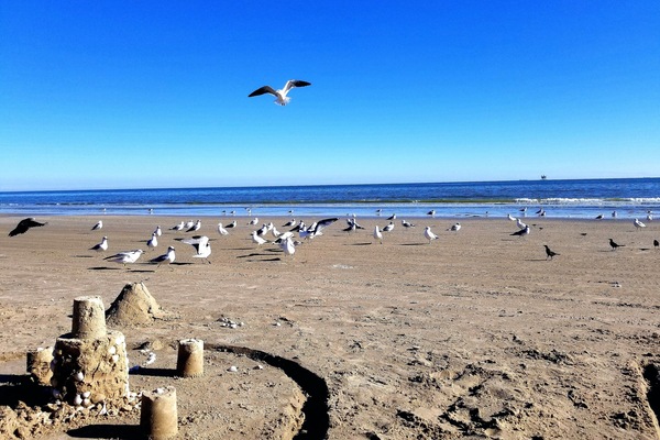 Beach nearby, sun-loungers, beach towels
