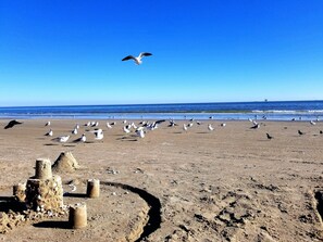 Vlak bij het strand, ligstoelen, strandlakens