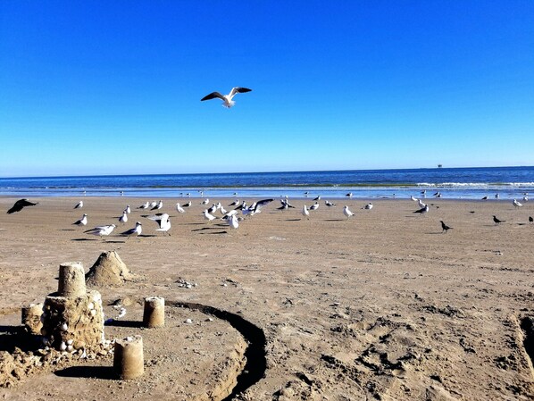 靠近海滩、沙滩椅、沙滩毛巾