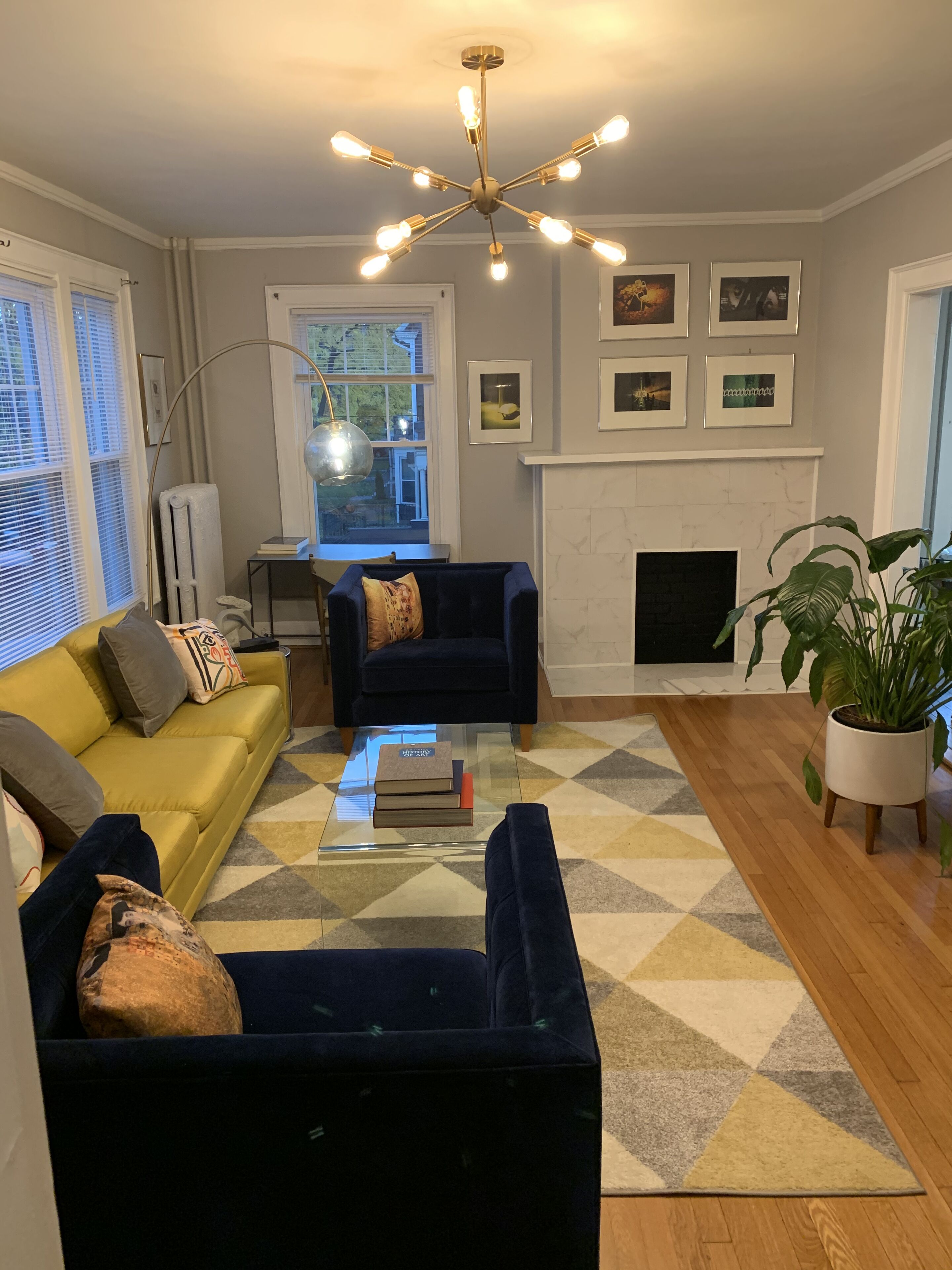 Luxurious SPECIAL mid century modern 1BR next to Albany med