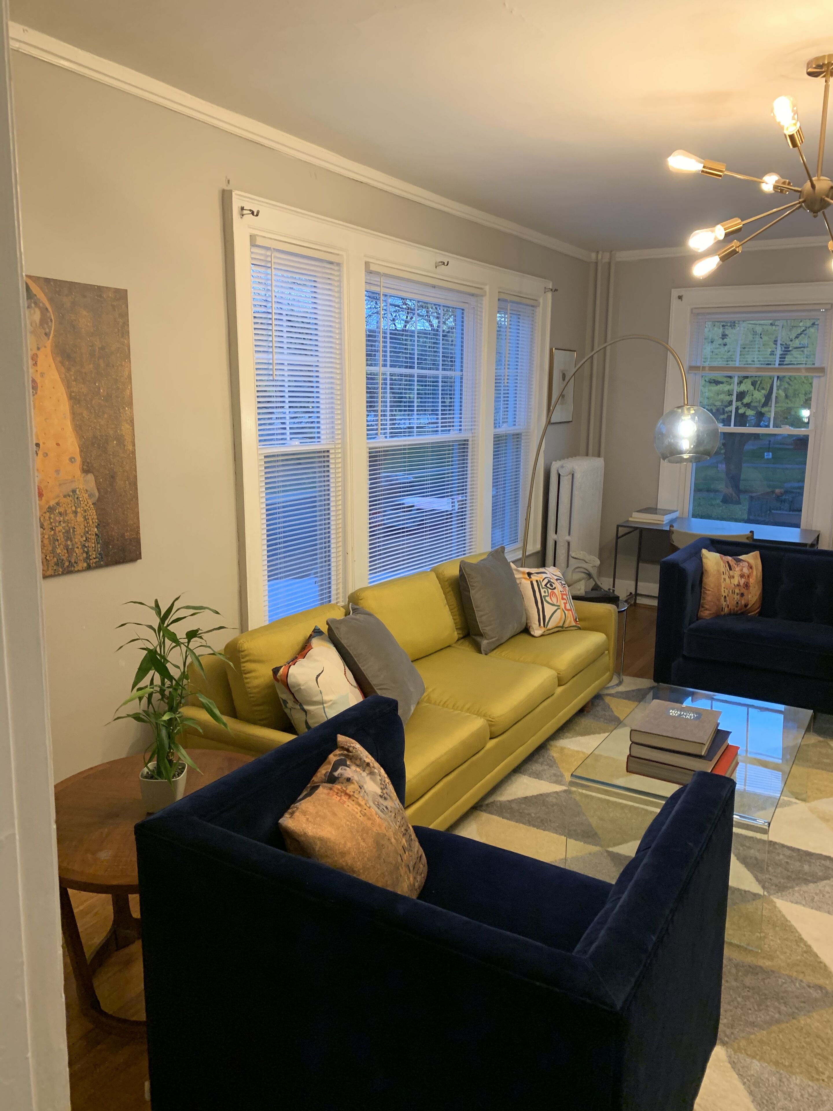 Luxurious SPECIAL mid century modern 1BR next to Albany med