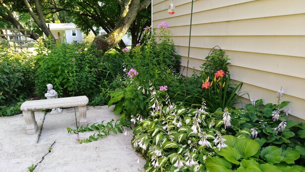 A garden with a bench, various plants, and a house in the background. - Home is on the original 1926-1930 Route 66 alignment (Girard)