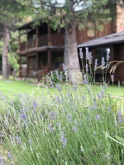 Headwaters Lodge of Mount Shasta