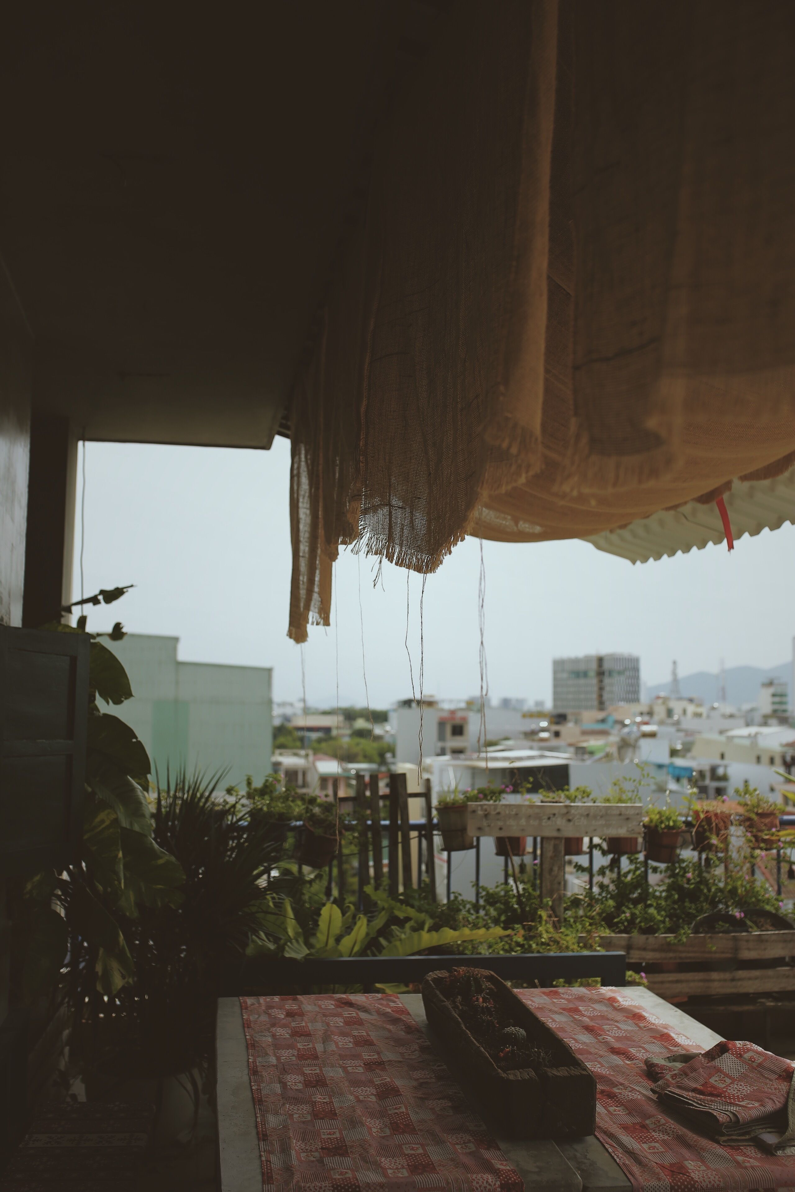 A room with a view of a cityscape, a table with a patterned tablecloth, and various potted plants.