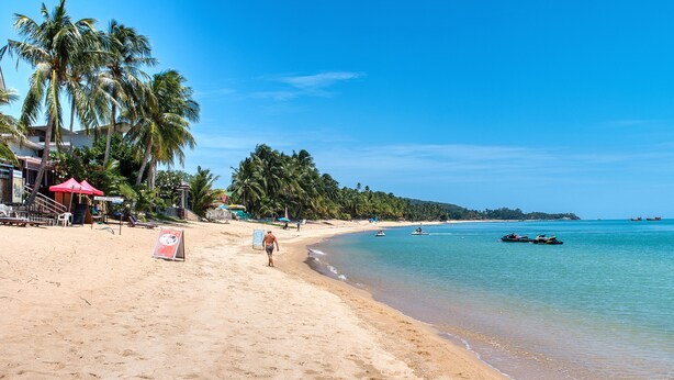 Una playa con arena dorada, palmeras y un cielo azul despejado.
