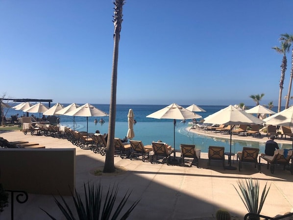 Relax by the oceanfront pool surrounded by palm trees and lounge chairs.
