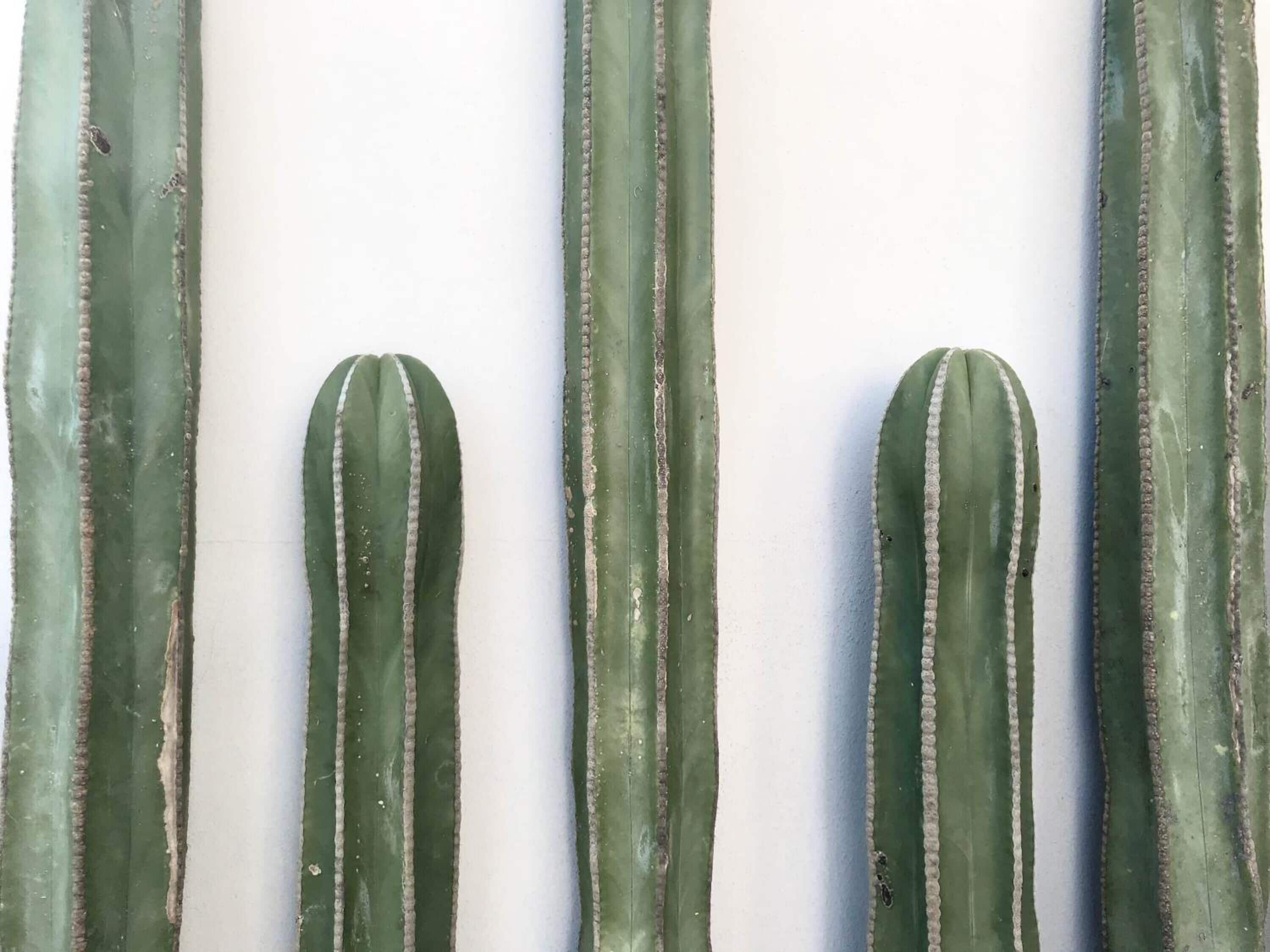 Une rangée d’objets verts, alignés verticalement et ornés de lignes verticales blanches, qui pourraient être des plantes ou des plantes en pot, sur un fond blanc.