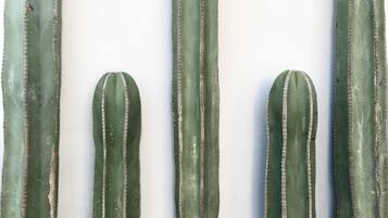 Une rangée d’objets verts, alignés verticalement et ornés de lignes verticales blanches, qui pourraient être des plantes ou des plantes en pot, sur un fond blanc.