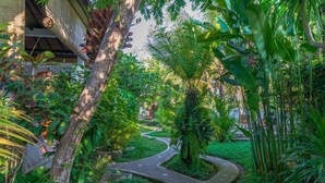 A winding pathway through a lush garden with various tropical plants and a large tree trunk. - Villa Di Sawah Pejeng (Ubud)