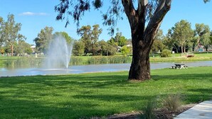 A park with a fountain, a picnic table, and a tree.