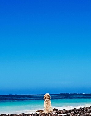 Beach nearby, sun loungers, beach towels - River/ocean views, chef's kitchen: spacious luxury 2BR / 2.5bath apartment. (Augusta)