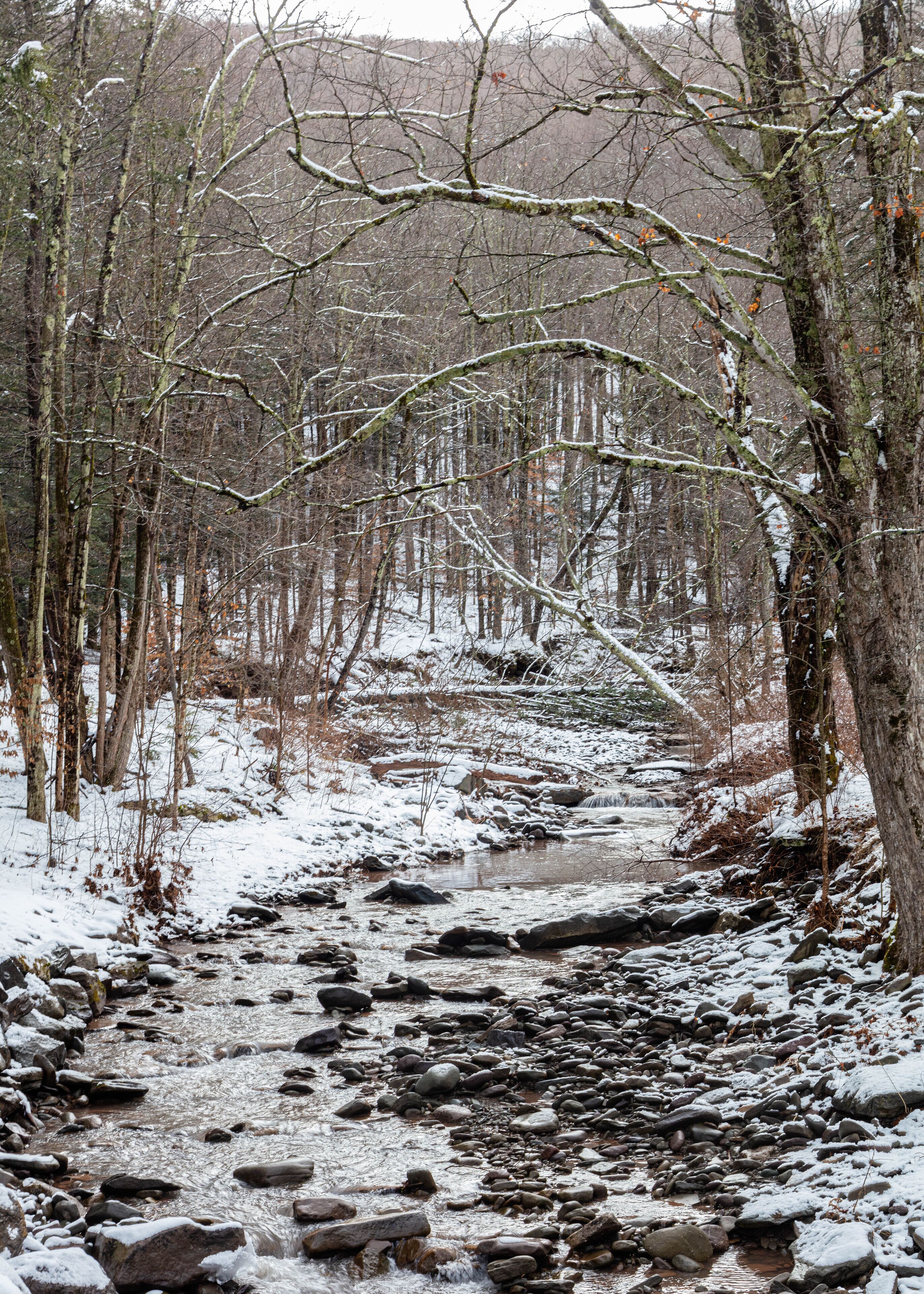 Un sentier forestier enneigé, traversé par un ruisseau.