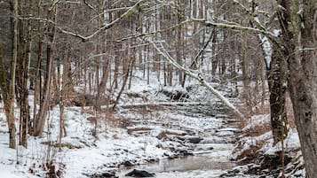 Un sentier forestier enneigé, traversé par un ruisseau.
