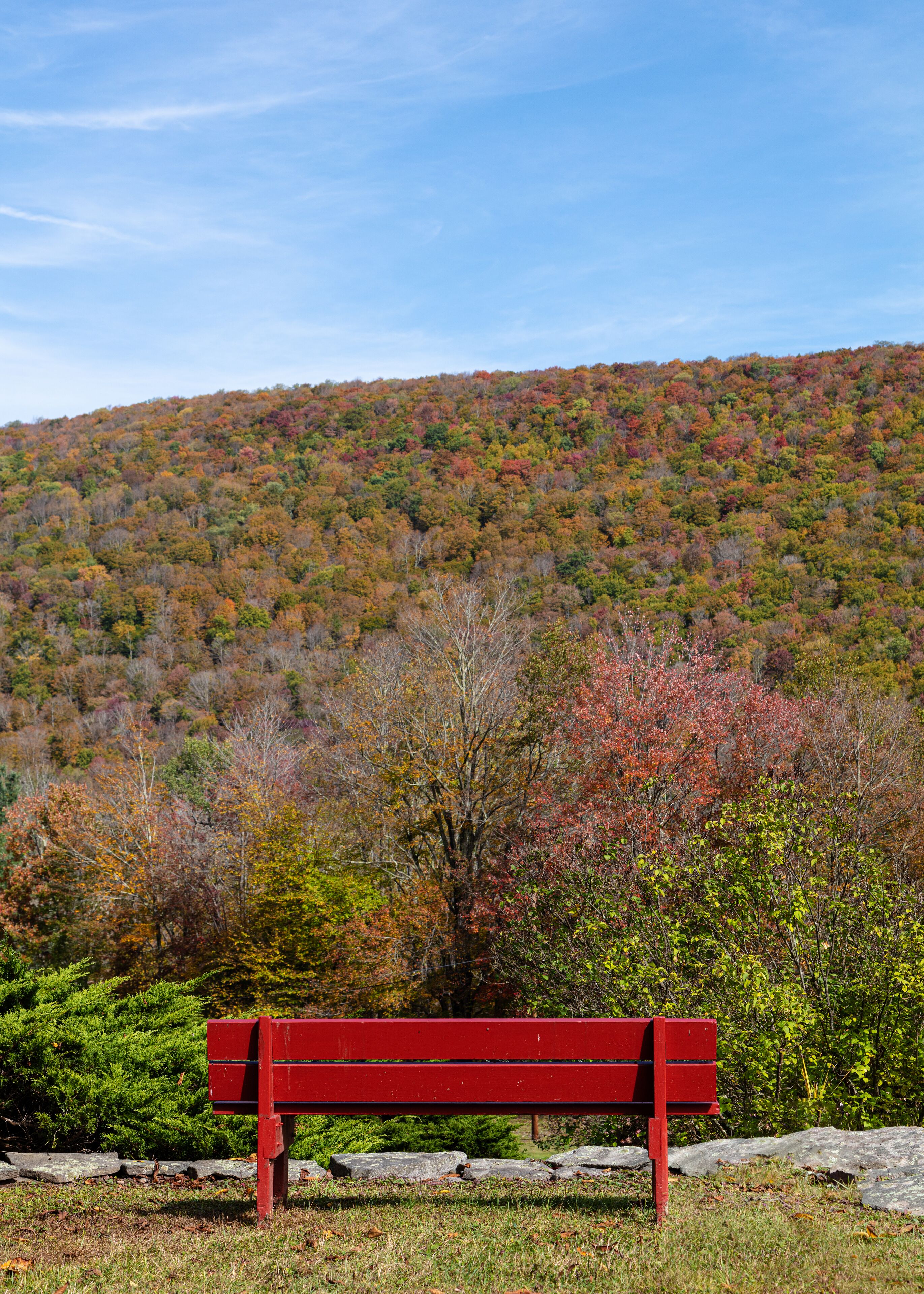 A red bench in a park with a hill of autumn-colored trees in the background.