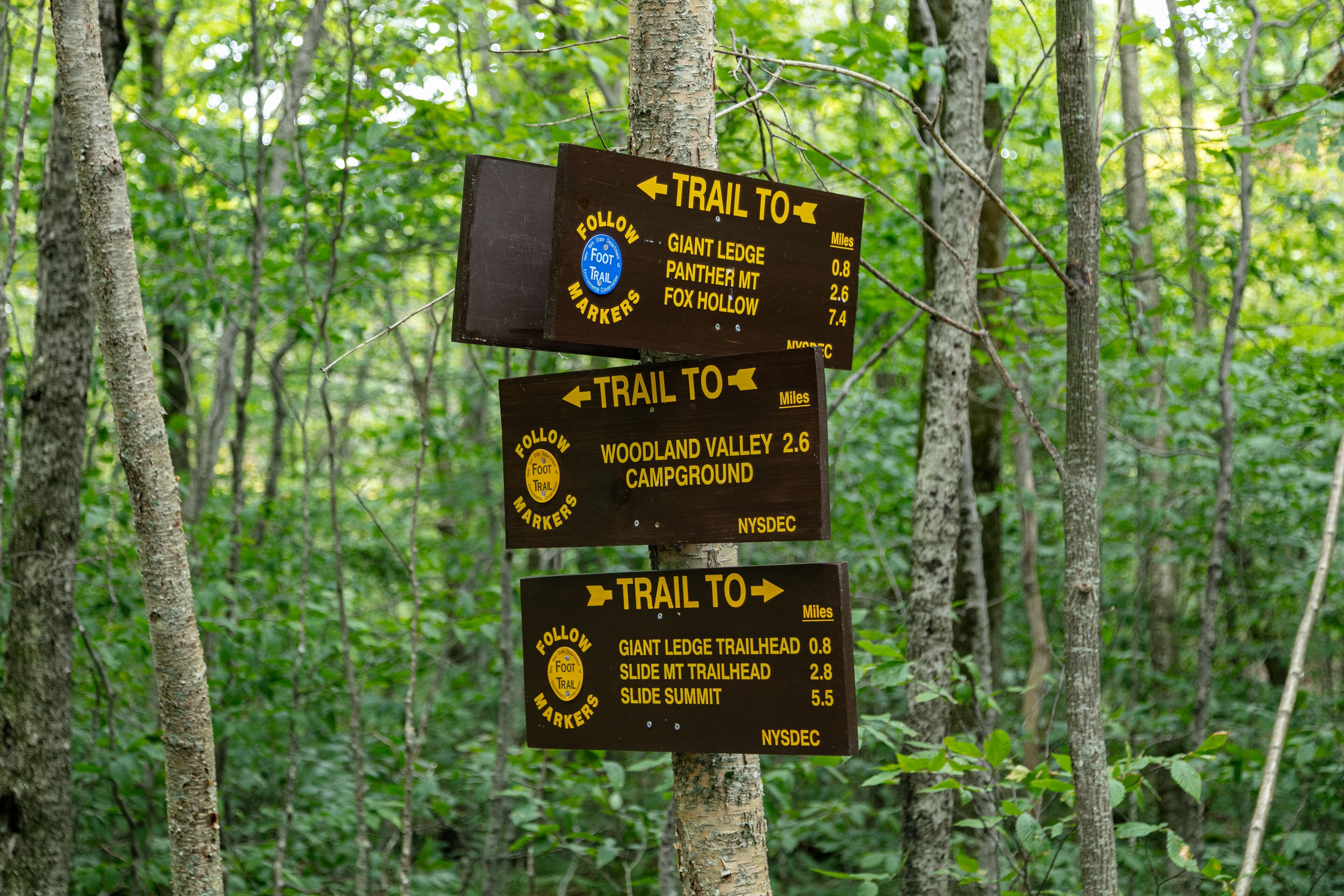 Un letrero de sendero en un bosque con indicaciones a varios destinos para caminatas.