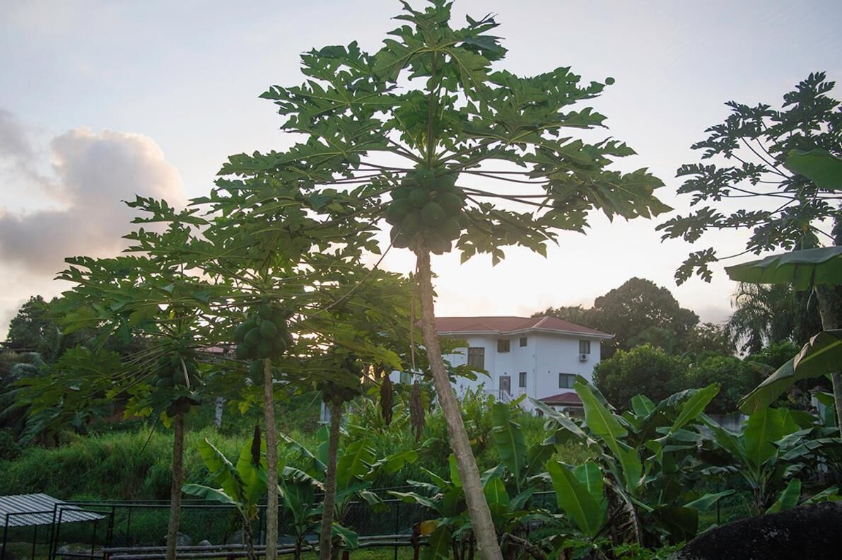 Photo - Evergreen Apartments