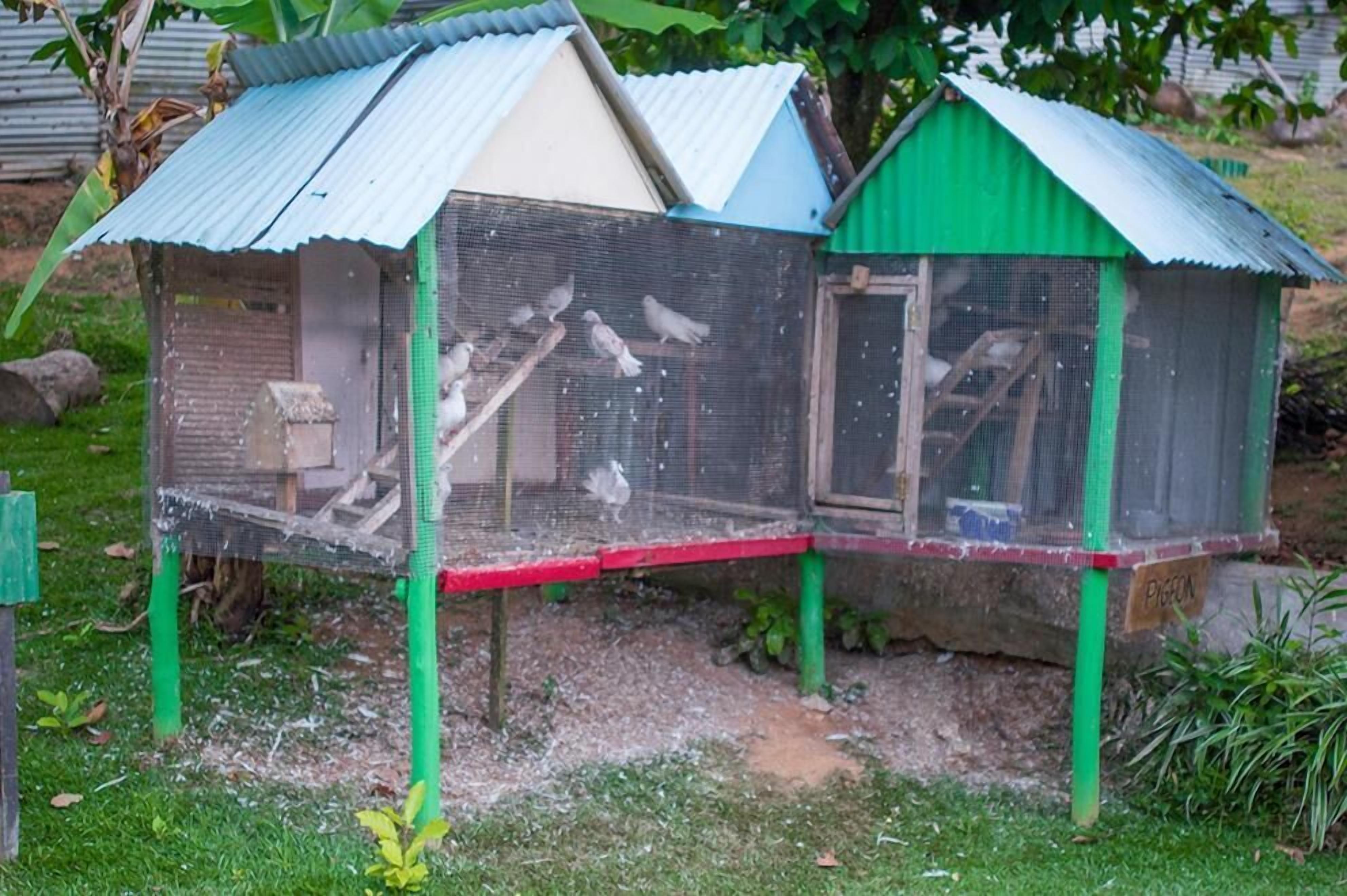 Photo - Evergreen Apartments