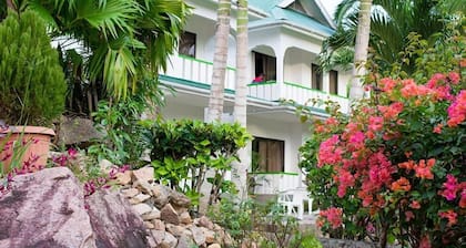 Evergreen Apartments