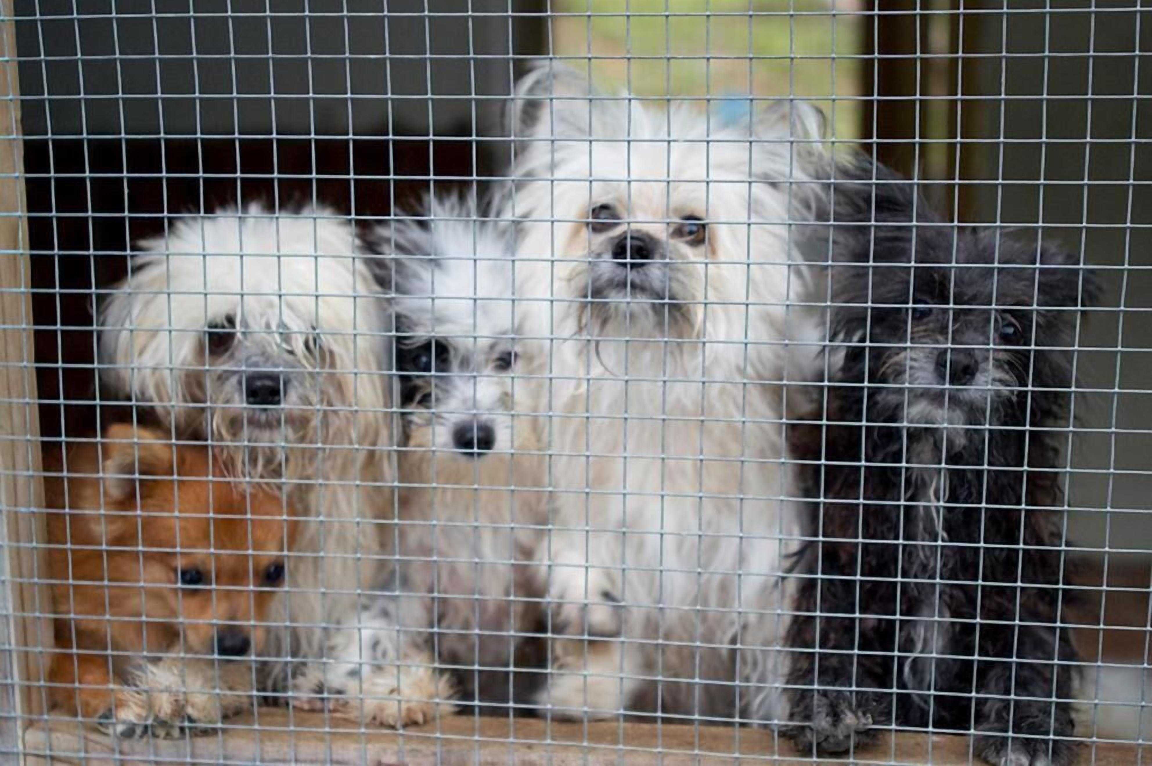 Photo - Evergreen Apartments