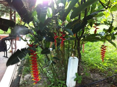 Finca Hotel Villa Martha La Union Valle