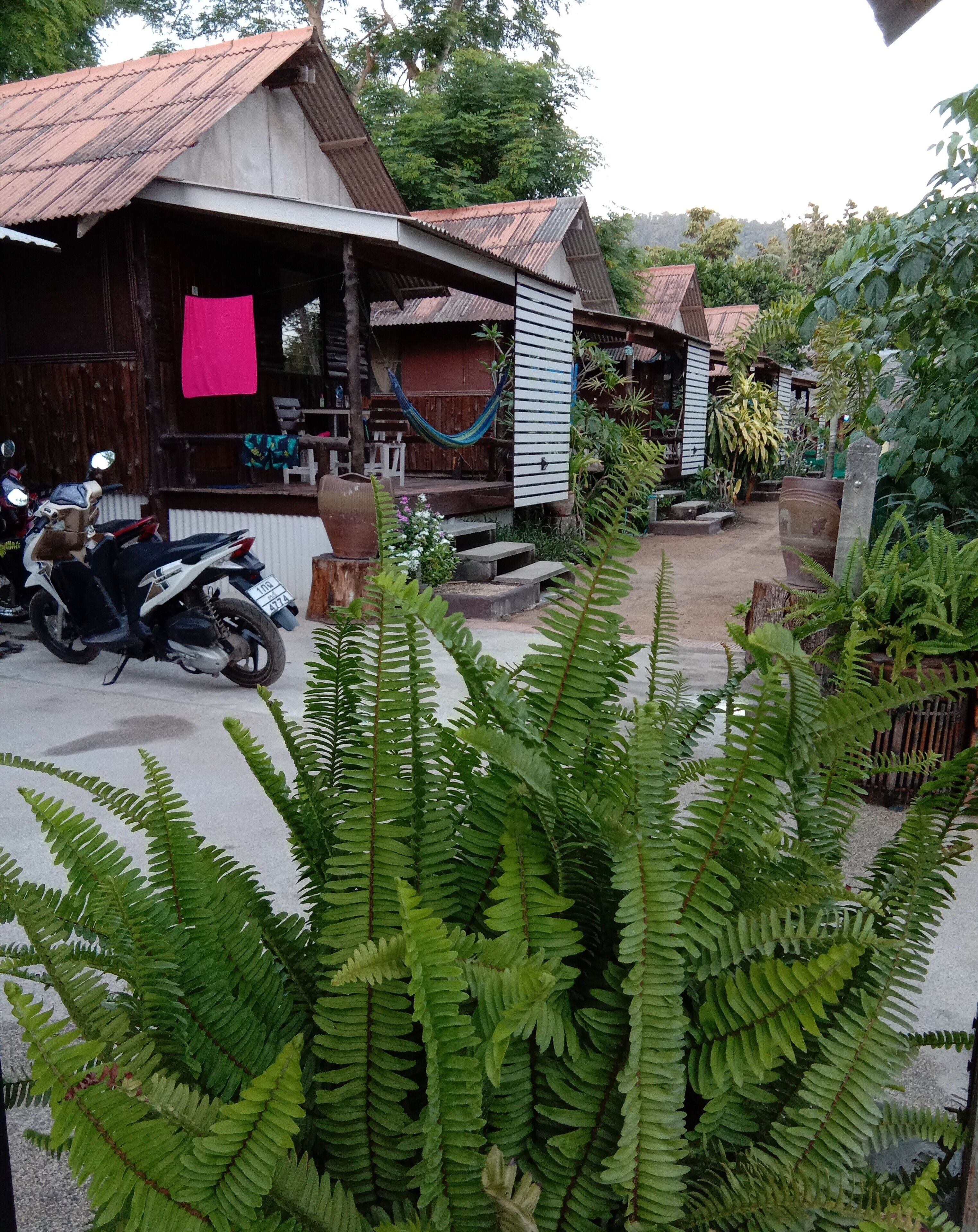 Foto - Sleep Whale Lanta