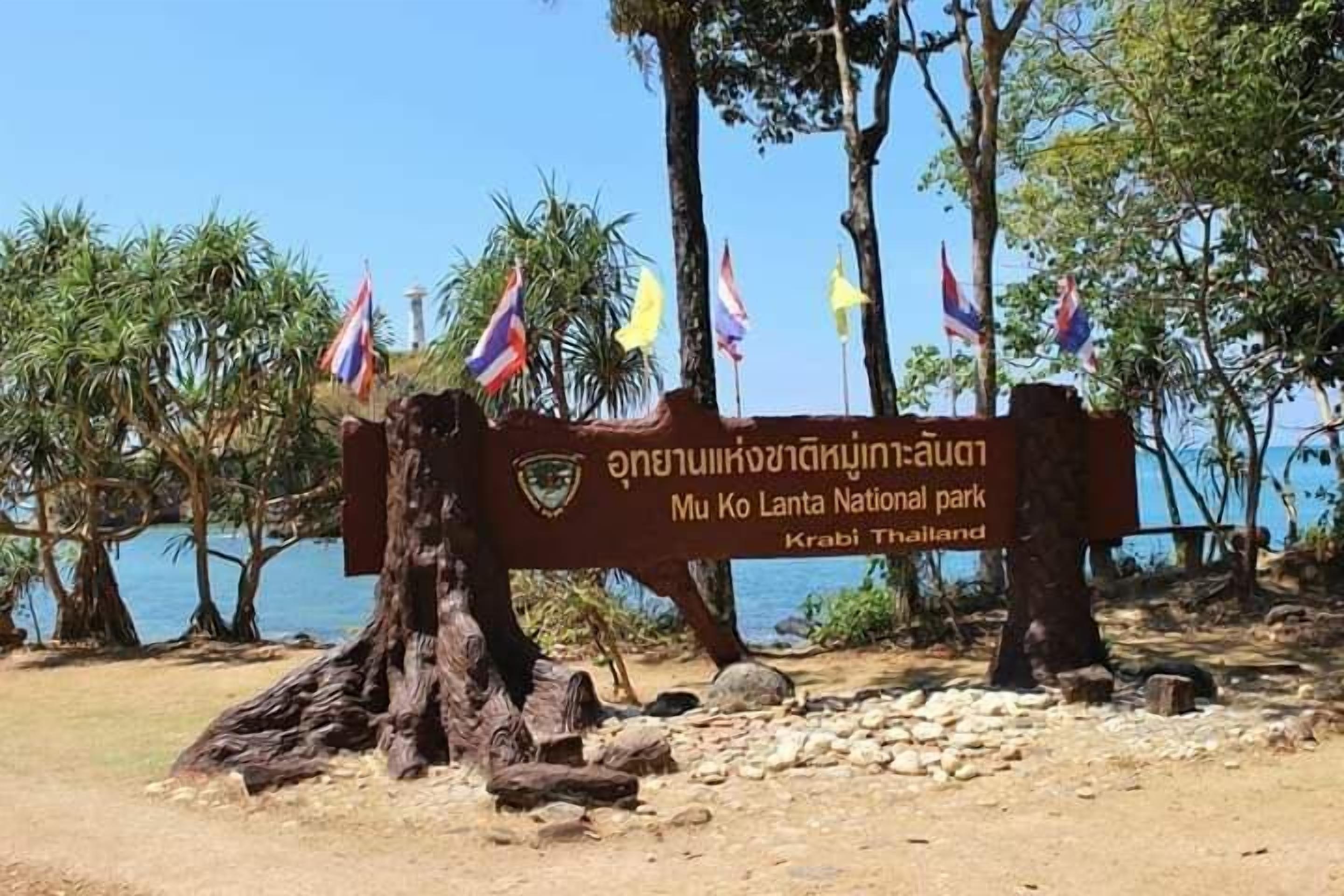 Foto - Sleep Whale Lanta