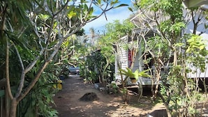 Um caminho estreito ladeado por folhagem densa e um edifício branco com janela visível.