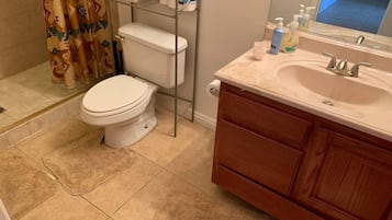 Combined shower/tub, jetted tub, hair dryer, bidet